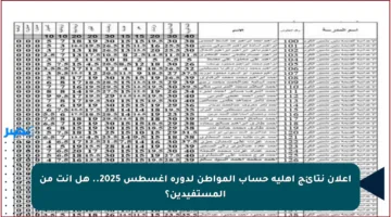 إعلان نتائج أهلية حساب المواطن لدورة أغسطس 2025.. هل أنت من المستفيدين؟